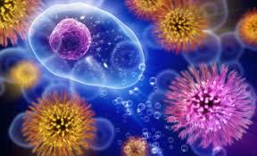 بیماری های عفونی، علل و علائم تا راهکارهای درمانی